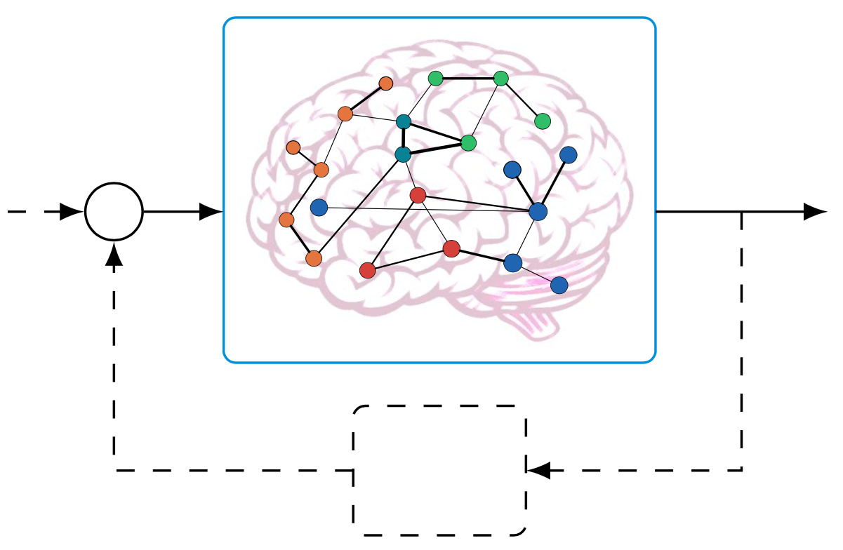 Brain Network